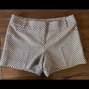 Loft shorts
